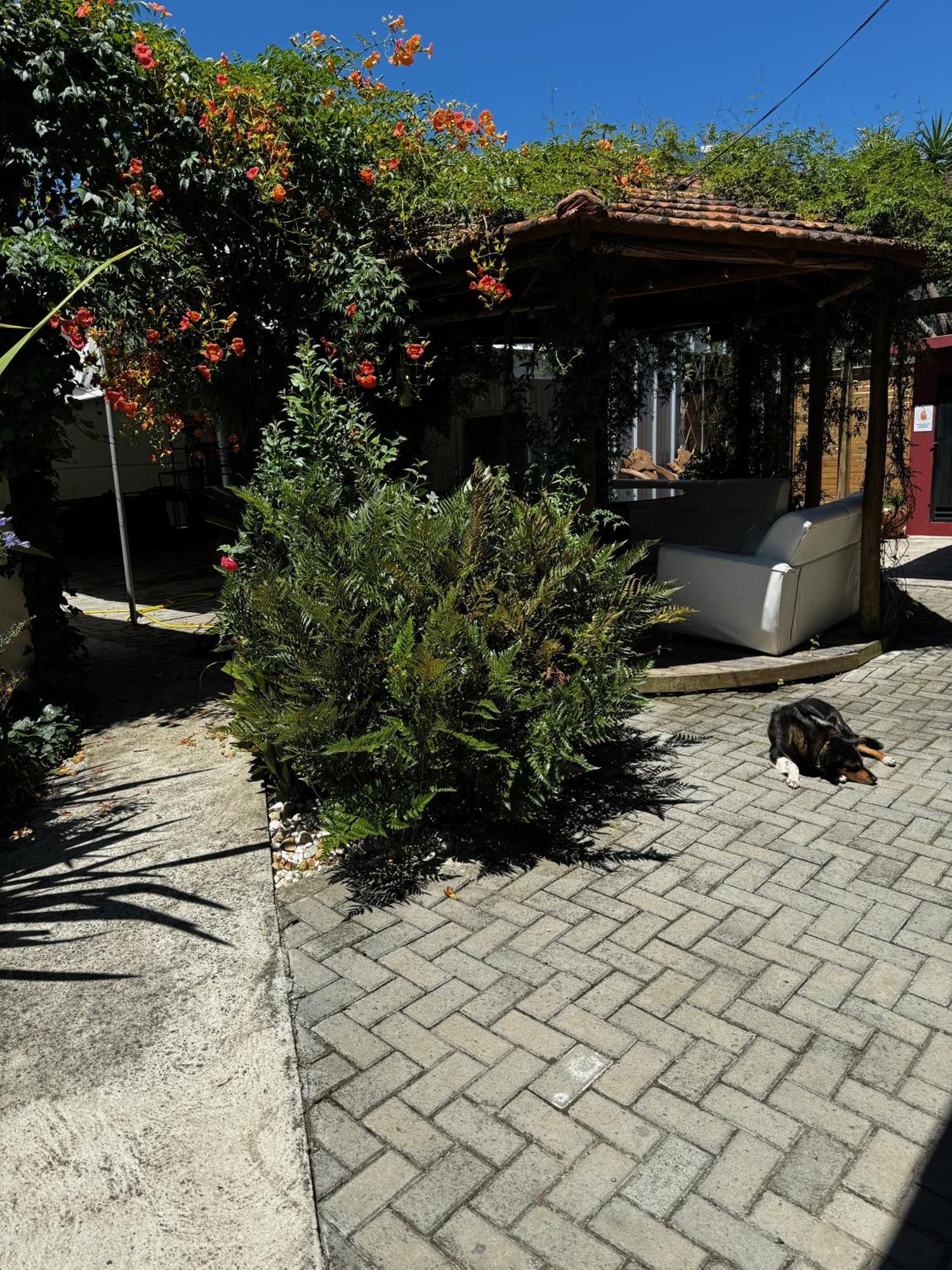 Pousada Upserra Urubici Εξωτερικό φωτογραφία